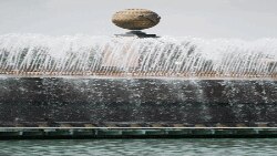 Vatandagi manzara: Iqlim o'zgarmoqda; O'zbek kinosining sifati tushib ketgan