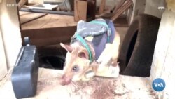 Xalqaro hayot - 9-noyabr, 2022-yil