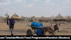 FILE - A woman uses a donkey cart to transport a barrel of water in drought affected areas in Higlo Kebele, Adadle woreda, Somali region of Ethiopia, in this undated handout photograph.