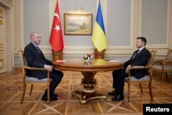 FILE - Turkish President Recep Tayyip Erdogan meets with Ukrainian President Volodymyr Zelenskyy in Kyiv, Ukraine, Feb. 3, 2022. (Ukrainian Presidential Press Service/Handout via Reuters)