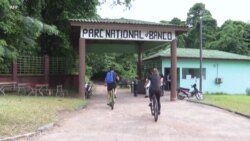 Abidjan : un mur autour du parc du Banco