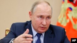 블라디미르 푸틴 러시아 대통령. 