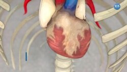 Kalbi Duran NFL Oyuncusu Sahalara Dönebilecek mi?