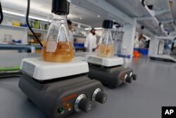 FILE - Flasks containing pieces of fruit swirl in flasks on June, 28, 2022, at Hazel Technologies headquarters in Chicago.