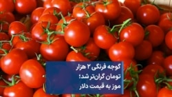 گوجه فرنگی ۲ هزار تومان گران‌تر شد؛ موز به قیمت دلار 