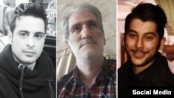 İqbal Fərəci, Əli Şadi və Ehsan Nəsrullahi 