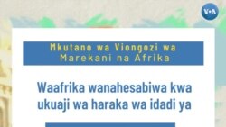 Je, unajua namna idadi ya Wahamiaji wa Kiafrika inavyoongezeka Marekani