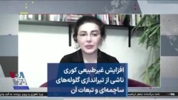 افزایش غیرطبیعی کوری ناشی از تیراندازی گلوله‌های ساچمه‌ای و تبعات آن