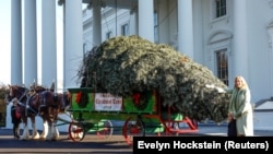 Ibu negara AS Jill Biden menerima Pohon Natal Gedung Putih 2022 bersama cucunya Beau Biden, di Gedung Putih di Washington, AS, 21 November 2022. (Foto: REUTERS/Evelyn Hockstein)