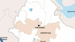 Godinaa Shawaa Dhihaa, Aanaa Noonnoo Keessatti  Misirroota Dabalatee Namoonni Cidharra Turan 27 Ajjeefamuun Himame