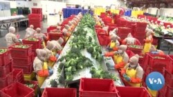 Ecuador, China Finalize Free Trade Deal Potentially Worth Billions 