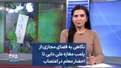 نگاهی به فضای مجازی: از پلمب مغازه علی دایی تا احضار معلم در اعتصاب