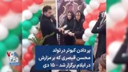 پر دادن کبوتر در تولد محسن قیصری که بر مزارش در ایلام برگزار شد – ۱۵ دی