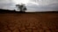 FILE - Cracked earth marks a dried-up watering hole on a farm near Aberdeen in the Karoo in South Africa.