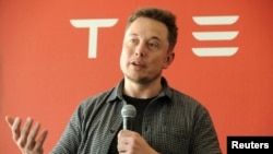 CEO Tesla, Elon Musk 