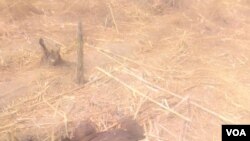 Wani mutum da aka kashe