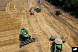 러시아 트빌리스카야 마을 농부들이 밀을 수확하고 있다. (자료사진)