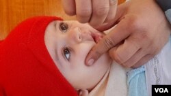 جریان کمپاین واکسیناسیون پولیو، فبروری ۲۰۲۲