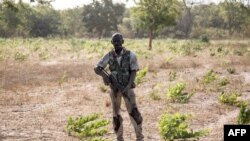  Un séparatiste appartenant au Mouvement des forces démocratiques de Casamance (MFDC) monte la garde avant la libération de sept soldats sénégalais capturés dans une colonie abandonnée à Baipal en Gambie, le 14 février 2022.