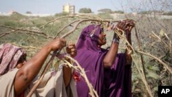 Somali women who fled drought-stricken areas start to build shelters at a makeshift camp on the outskirts of the capital Mogadishu, Somalia, Feb. 4, 2022.
