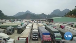 China's COVID-19 Policy Putting Squeeze on SE Asian Fruit Industry