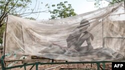 Plus de 400.000 personnes, selon l'ONU, ont été déplacées au Tigré par le conflit qui a commencé début novembre 2020.