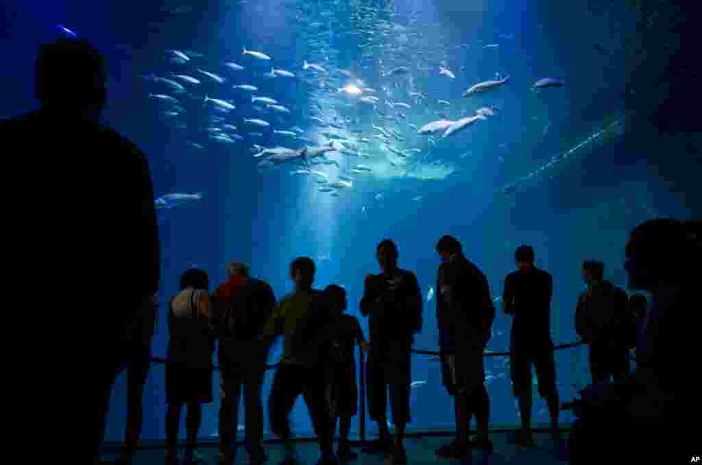 Para wisatawan menikmati museum dan akuarium &#39;Ozeanum&#39; di kota Stralsund, pelabuhan Laut Baltik, Jerman.