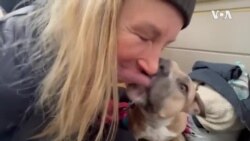 Ukrajinske porodice ostavljaju sve iza sebe, ali ne i svoje ljubimce
