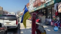 Nyu-York, Kichik Odessa: Muhojirlar asosan Ukraina tarafida 