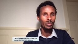 Kora waldaa Qorannoo Oromoo irratti, hirmaannnaa dargaggootaa