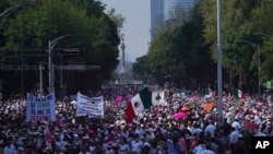 Citizen organizations march in support of Mexico's National Elections Institute as President Andrés Manuel López Obrador pushes to reform it, in Mexico City, Sunday, Nov. 13, 2022. 