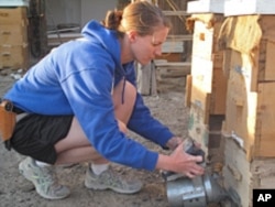 Sgt. Jo Lisa Ashley tends to the bees of Bagram in Afghanistan.