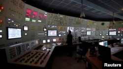 资料照：一名工作人员在位于捷克的杜科瓦尼核电站控制室内