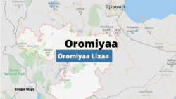 Oromiyaa Lixaa Keessatti Namoonni Eega Hidhamanii Baatiilee Lakkoofsisan Haga Ammaa Mana-murtiitti Hin Dhihaanne, Jedhu Maatiin