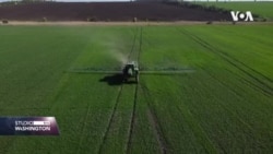 Ukrajinski farmeri: Rad u polju poput ruskog ruleta