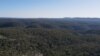 Logging Management Helps Australian State Become Carbon Negative 