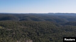 FILE - Trees stand in a habitat populated by koalas in the Greater Blue Mountains World Heritage Area, near Bilpin, Australia, Oct. 13, 2020.