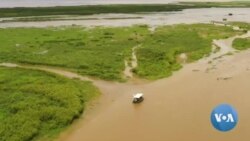 Luiziana: sohil eroziyasiga qarshi kurash