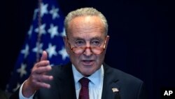 척 슈머 미 상원 민주당 대표 (자료사진)