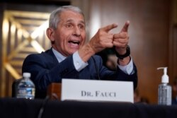 Top U.S. infectious disease expert Dr. Anthony Fauci responds to accusations by Sen. Rand Paul, R-Ky., as he testifies before the Senate Health, Education, Labor, and Pensions Committee about the origin of COVID-19, on Capitol Hill in Washington.