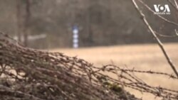 ვითარება ფინეთის საზღვარზე რუსეთთან