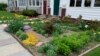 Americans Ideas About Their Lawns Are Changing
