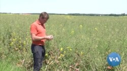 Ukraine War Presents French Farmers with Opportunity – and Risk