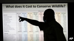 A Zimbabwe National Parks official points to data during a presentation outlining the costs of conserving wildlife in the country during a tour of ivory stockpiles in Harare, May, 16, 2022.