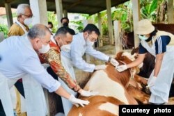 Menteri Pertanian Syahrul Yasin Limpo (kedua dari kanan) beserta tim memeriksa kondisi ternak. (Foto: Ditjen PKH Kementan)