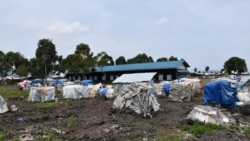 Les réfugiés et déplacés dans l'est de la RDC abandonnés à eux-mêmes