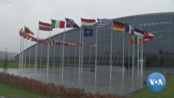 Turkey Wants Attention from Biden, Experts Say