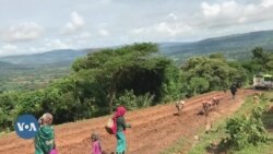 Horro Guduruu Wallaggaa Keessatti Buqqatoonni Gargaarsa Dhabuun Akka Rakkataa jiran Dubbatu 