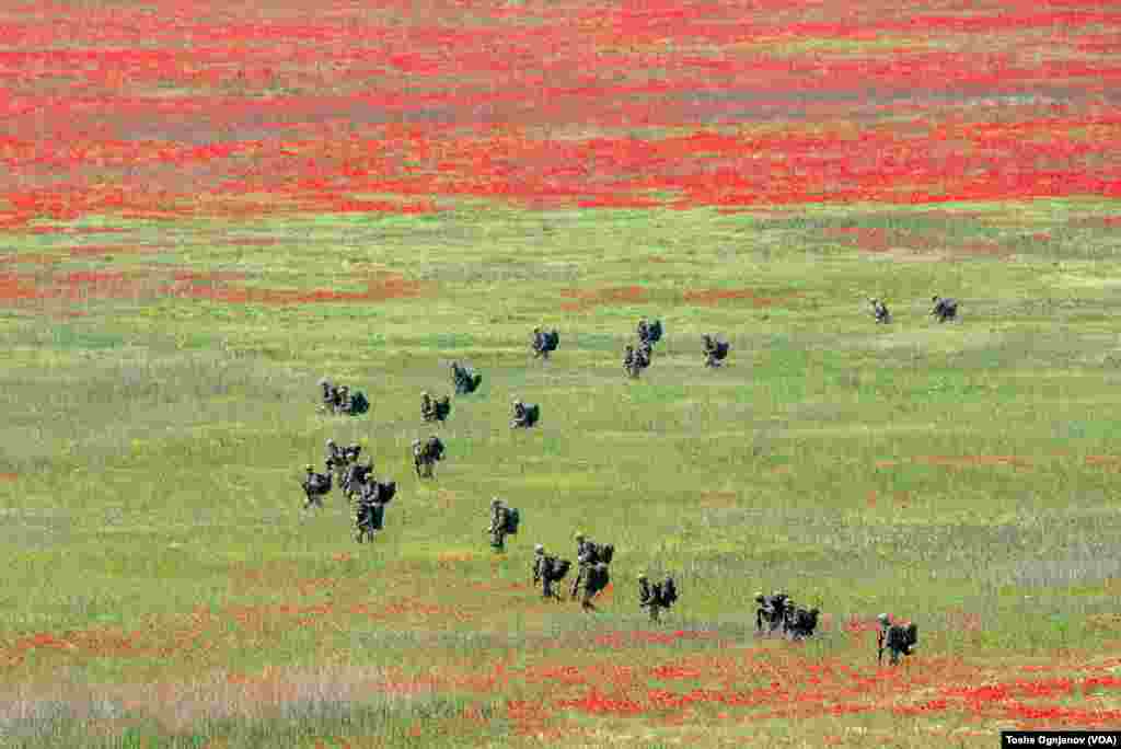 NATO drill Swift Response 22, Military Center Krivolak, North Macedonia