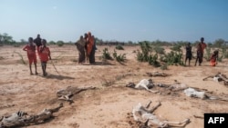 រូបឯកសារ៖ អ្នកស្រុក​ឈរ​នៅ​ក្បែរ​សាក​សត្វ​ចៀម​ងាប់ នៅ​ក្នុង​ភូមិ Hargududo ប្រមាណ​៨០ គីឡូម៉ែត្រ​ពី​ទីក្រុង Gode ប្រទេស​អេត្យូពី កាល​ពី​ថ្ងៃ​ទី​៧ ខែ​មេសា ឆ្នាំ​២០២២។